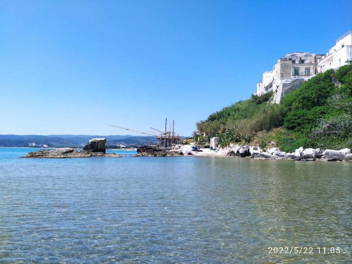 Casina Viestana Villa Vieste Luaran gambar